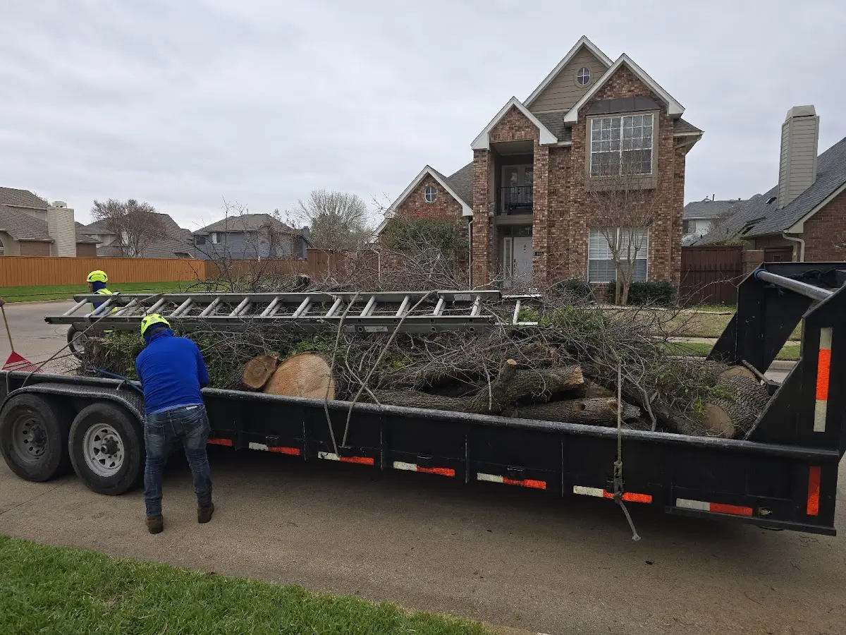 Expert Tree Pest Control with proper safety equipment in Tuscarora